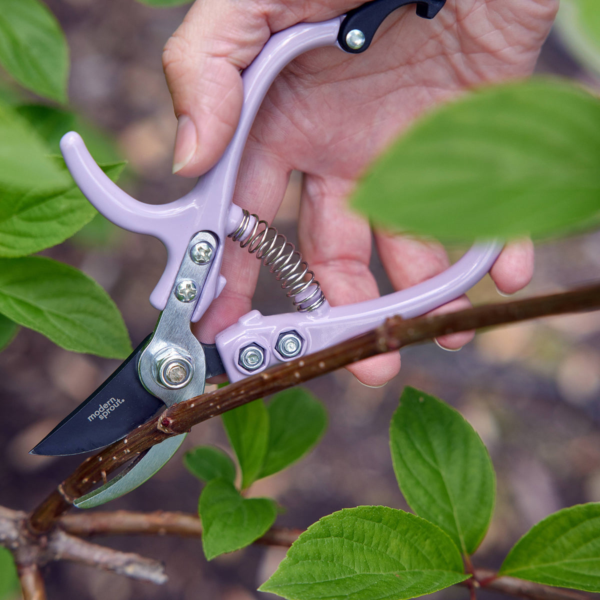 Floral and Garden Shears