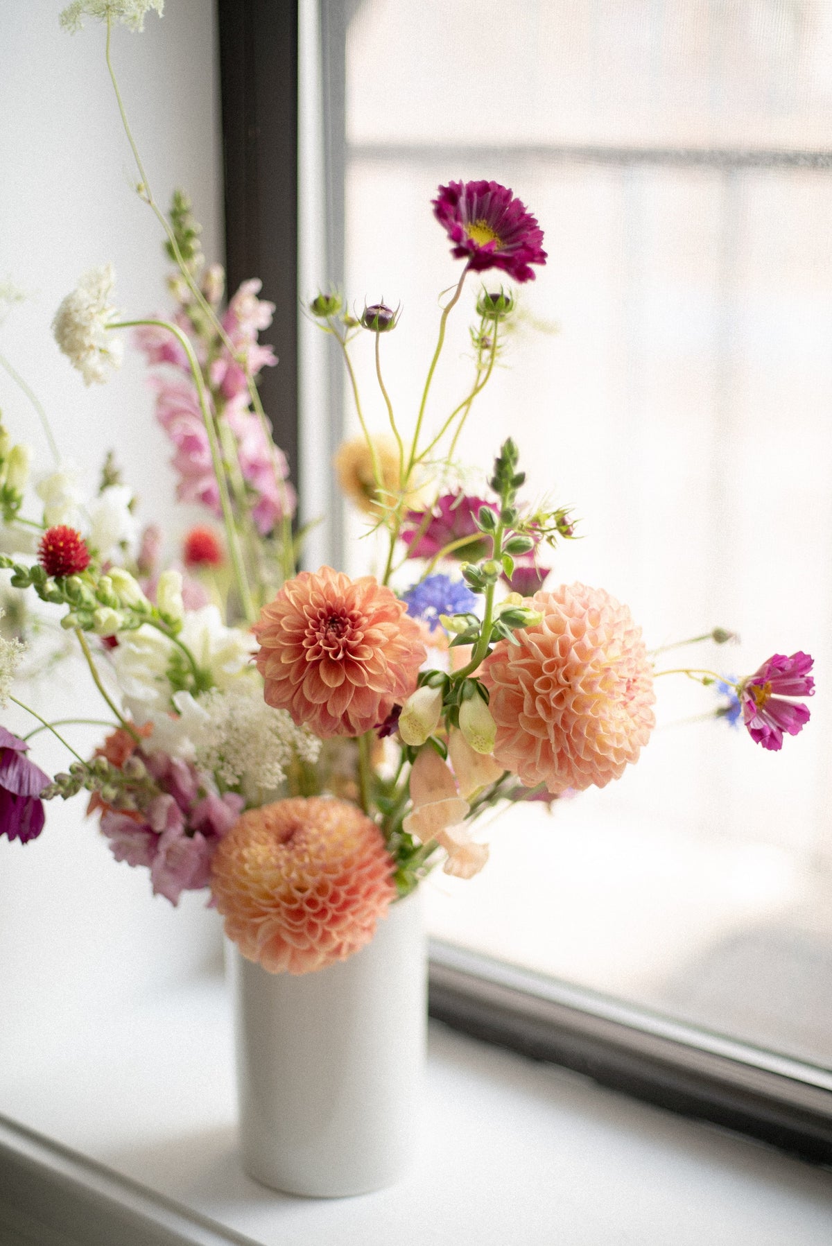Colorful, bright summer flower arrangement with dahlias, cosmos, foxglove, and scabiosa in a white ceramic vase on a windowsill.