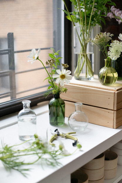 A styled arrangement of clear and green glass bud vases with cosmos, fresh mint, queen anne's lace, and orlaya pods, on a white windowsill next to a wooden crate.