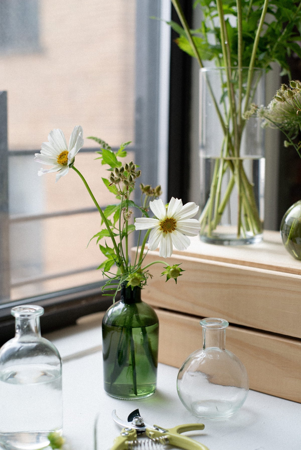 A green glass bottle bud vase holding white cosmos, fresh mint, and orlaya pods, styled on a windowsill alongside glass bud vases, flower shears, and loose stems.