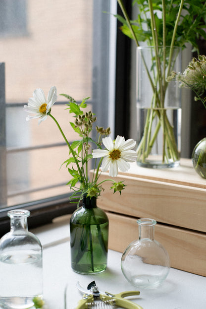 A green glass bottle bud vase holding white cosmos, fresh mint, and orlaya pods, styled on a windowsill alongside glass bud vases, flower shears, and loose stems.