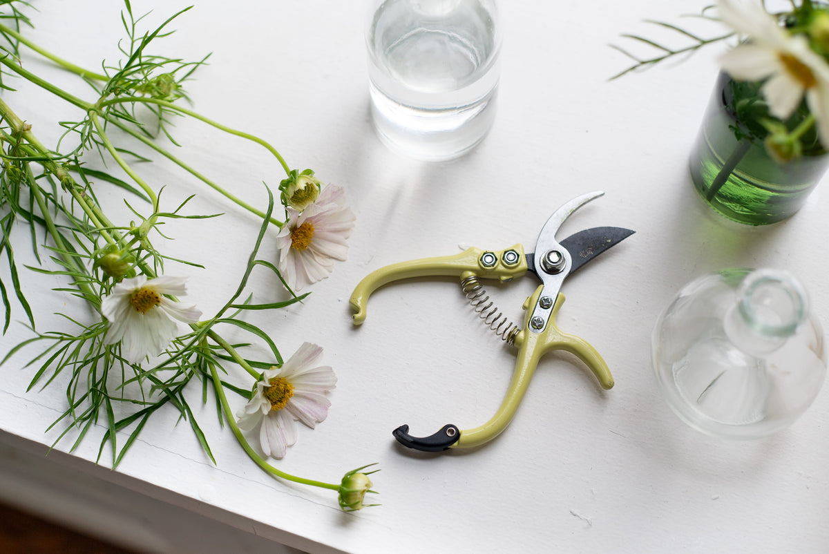 A pair of pruning shears with olive-green handles, arranged on a white surface with white cosmos and a mix of clear and green bud vases.