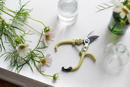 A pair of pruning shears with olive-green handles, arranged on a white surface with white cosmos and a mix of clear and green bud vases.