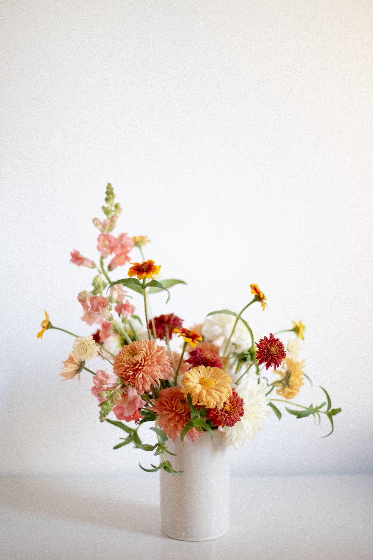 Colorful, bright fall flower arrangement with zinnias, snapdragons, and mums in a white ceramic vase against a white backdrop.
